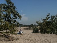 NL, Noord-Brabant, Heusden, Loonse en Drunense Duinen 79, Saxifraga-Jan van der Straaten